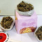 Vibo V. : nascondeva marijuana nella confezione del panettone, un arresto