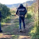 Calabria: braccianti stranieri sottopagati e sfruttati, nei guai titolari e dipendenti azienda agricola