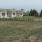 Locri: Inaugurazione del frutteto al Centro Neurologico- video