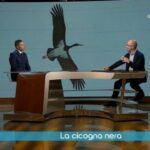 Gianluca Congi a Geo di Rai 3 per parlare di una specie rara in Italia: la cicogna nera