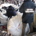 Traffico di rifiuti tra l’Italia e la Tunisia: blitz in Campania, Basilicata e Calabria