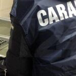 Gravi irregolarità igienico-sanitarie: chiusa azienda dolciaria nel vibonese