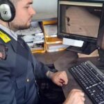 CZ: in crociera e fuori regione invece di assistere le mamme, indagate per truffa