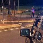 Stretta dei carabinieri nel crotonese: sequestrati sei veicoli