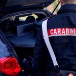 Marijuana in casa e tre serre per la coltivazione: arrestato un giovane